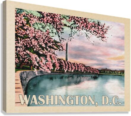 Washington DC Canvas Print