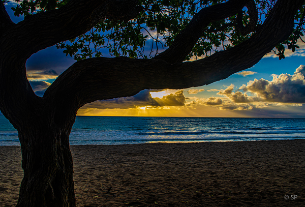 Kailua Silhouette   by Megan Shea