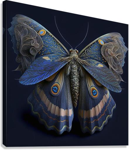 moth lineart Canvas Print