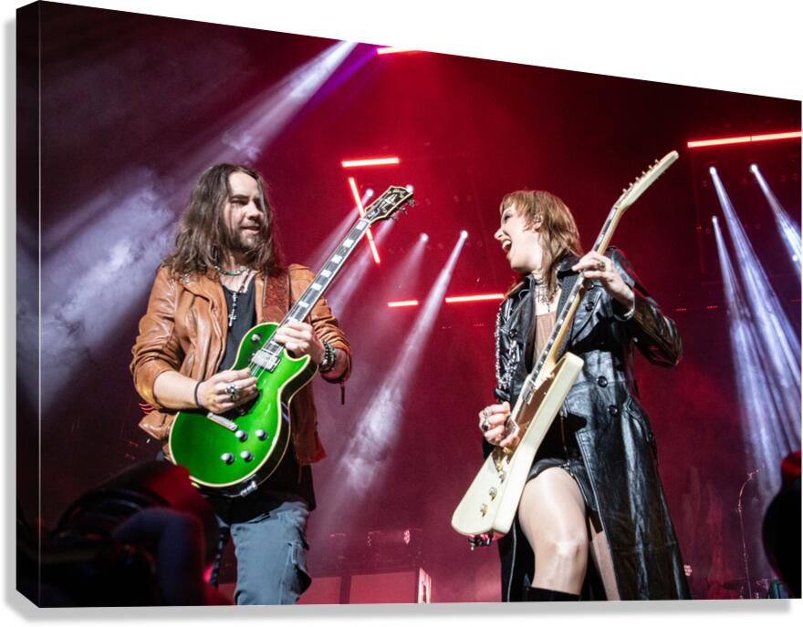 Halestorm Canvas Print