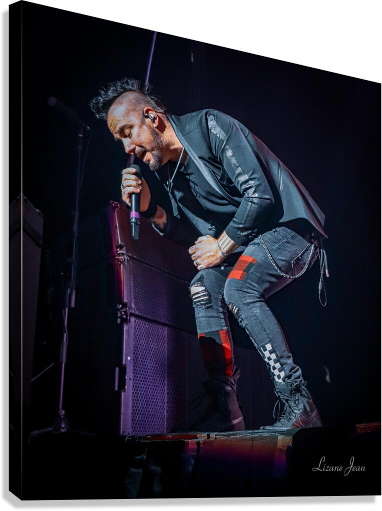 Three Days Grace Canvas Print