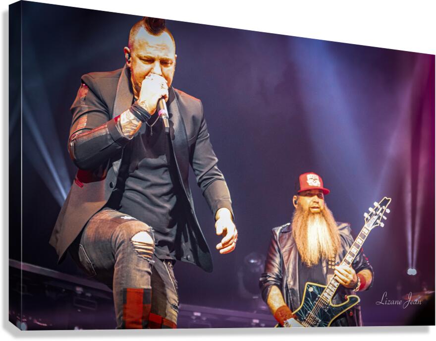 Three Days Grace Canvas Print