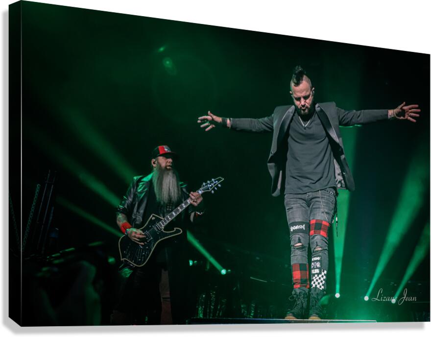 Three Days Grace Canvas Print