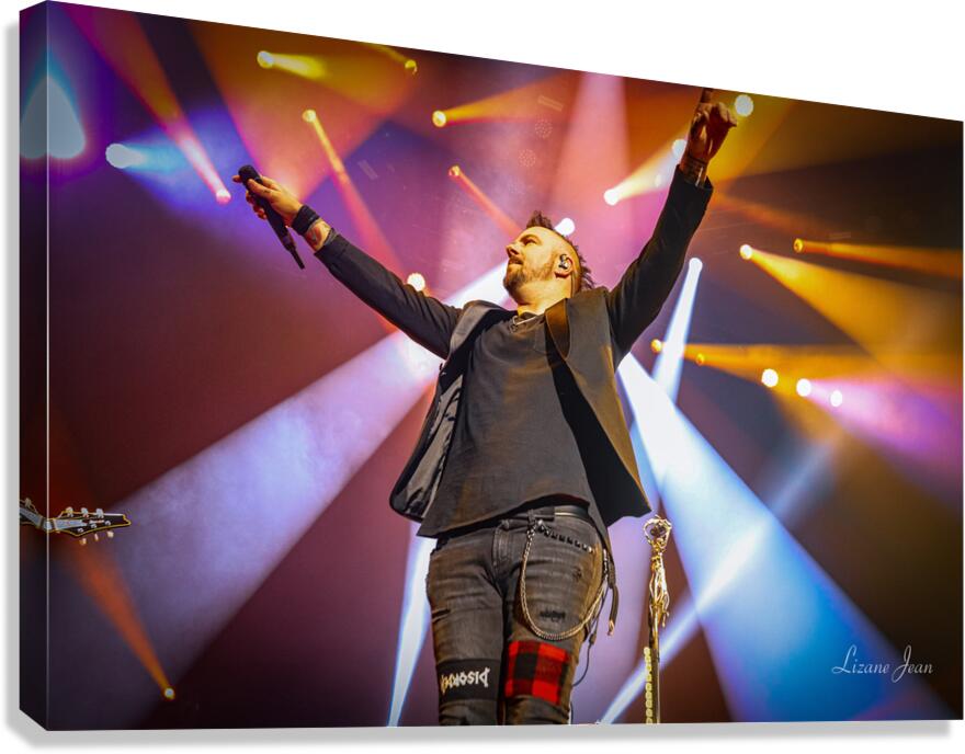 Three Days Grace Canvas Print
