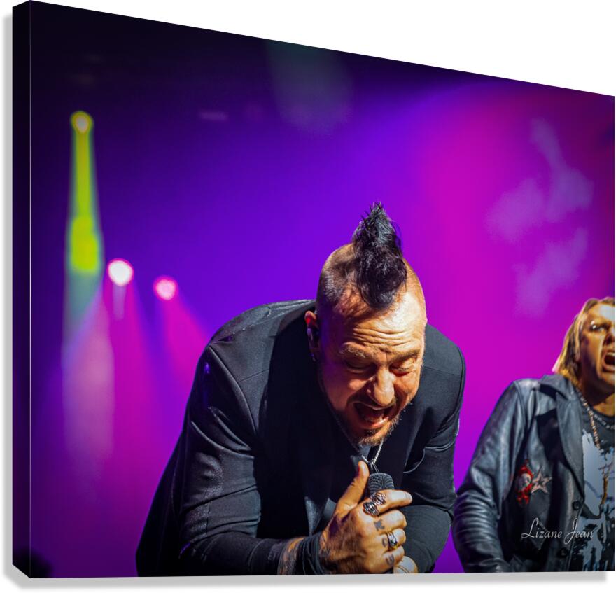 Three Days Grace Canvas Print