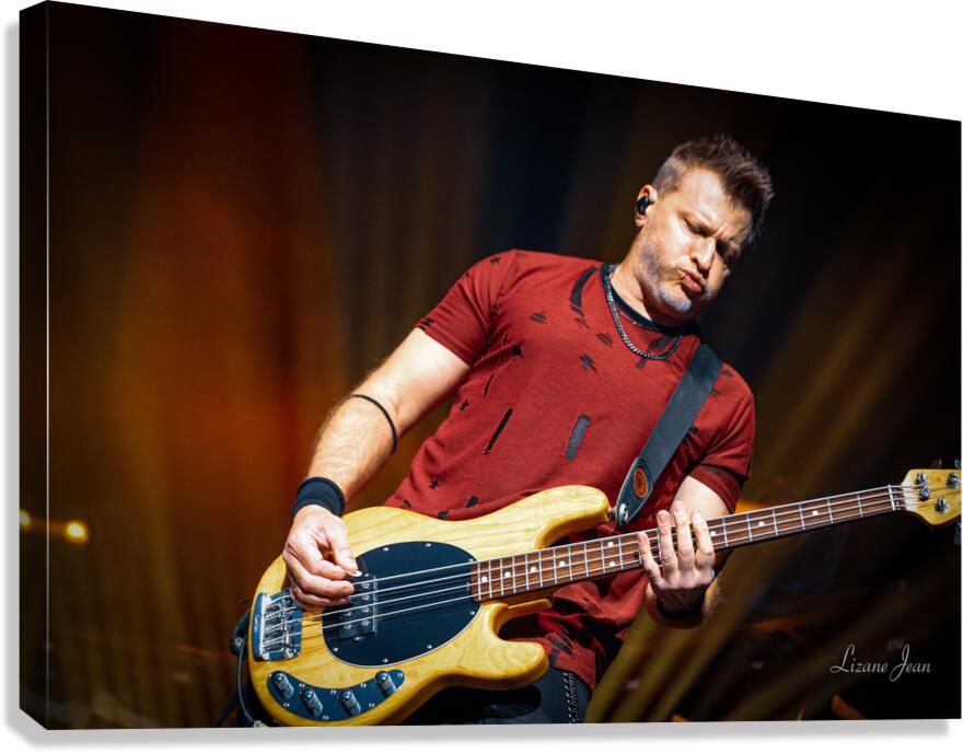 Three Days Grace Canvas Print