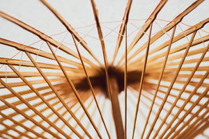 Below the Parasol