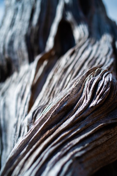 The Texture of Time by Studio 18 6