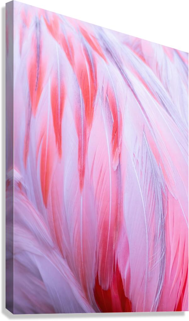 Flamingo Fire Canvas Print