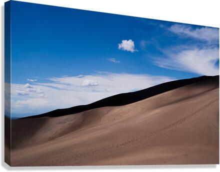 Curves Canvas Print