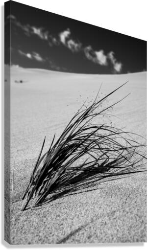Resiliance Canvas Print