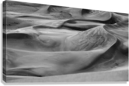 Dancing Dunes Canvas Print