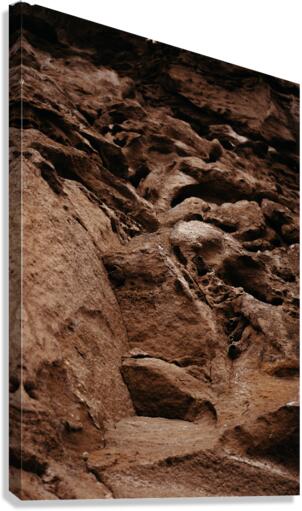 Nesting Canvas Print