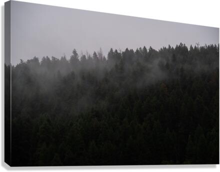 Coming Down Canvas Print