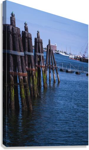 Pylon Row Canvas Print