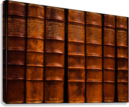 Shakespearean  Canvas Print