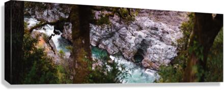 Middle Fork River View Canvas Print