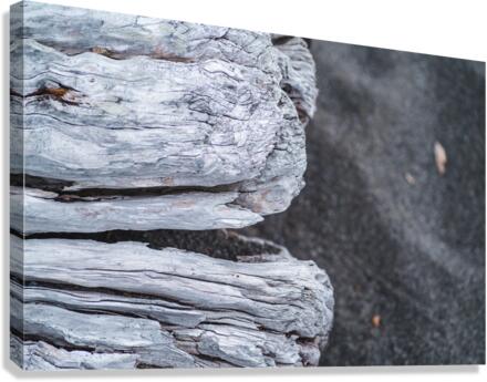 Drift-Log  Canvas Print
