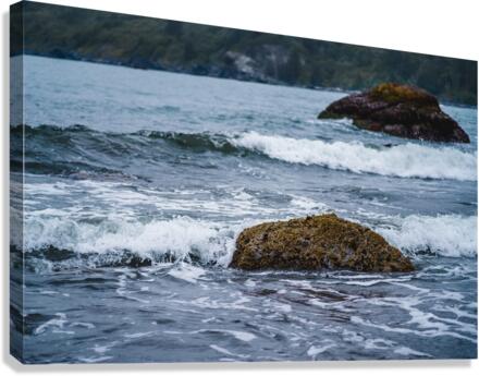 Wave Canvas Print