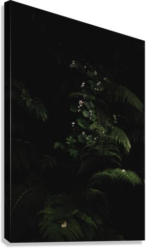Cascade Canvas Print