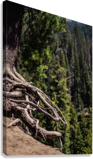 Over the Edge Canvas Print