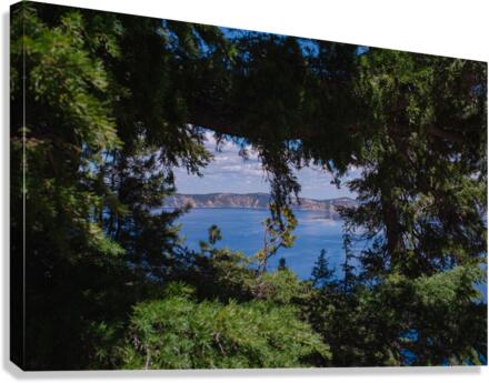 Window View Canvas Print