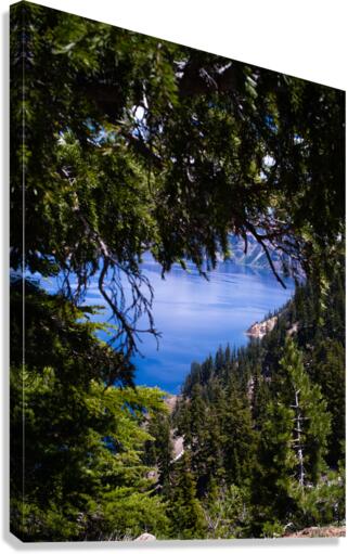 Framed  Canvas Print