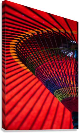 Aka Canvas Print
