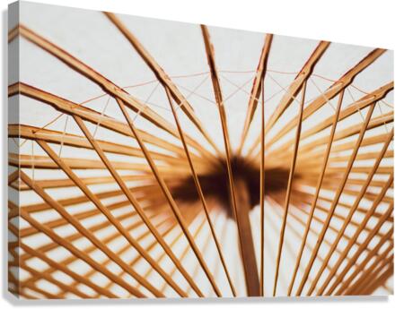 Below the Parasol Canvas Print