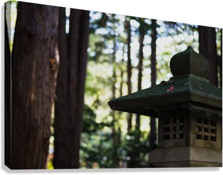 Maruyama Canvas Print