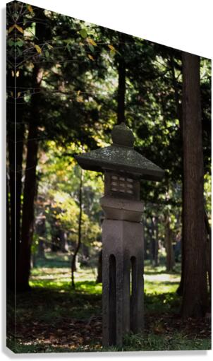 Center Canvas Print