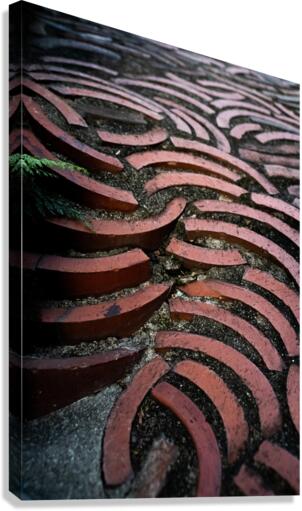 Cross-sections Canvas Print