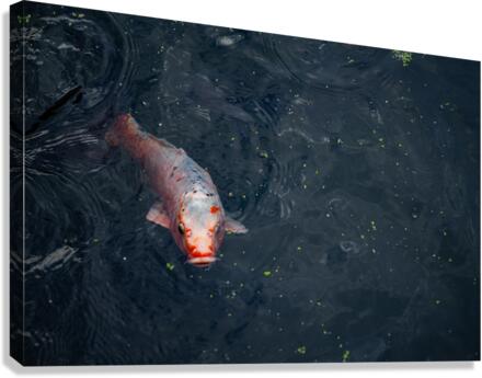 Surface Canvas Print