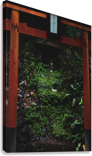 Gate to Another Side Canvas Print