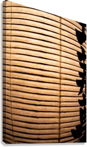 Paper Lantern Canvas Print