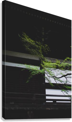 Kyoto Canvas Print