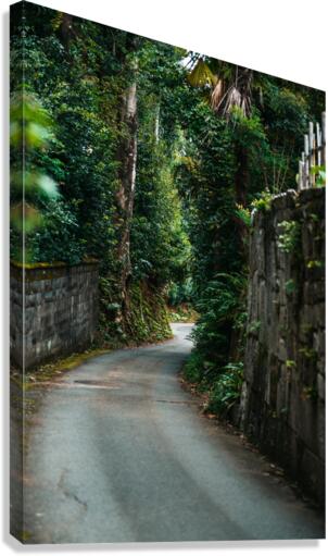 If Only... Canvas Print