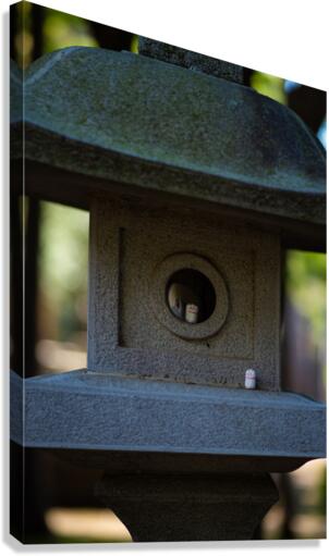 Peeking Canvas Print
