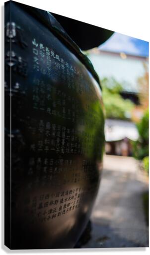 Vessel Canvas Print