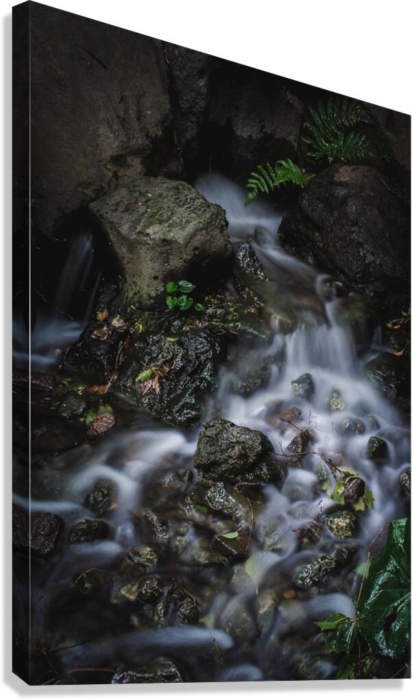 Slow Down Canvas Print