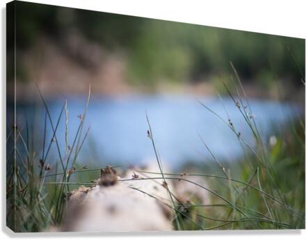 Lake View Canvas Print