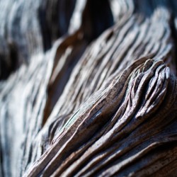 The Texture of Time