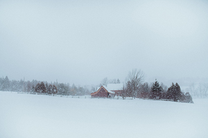 Snowstorm