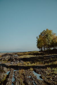 Le bord du fleuve