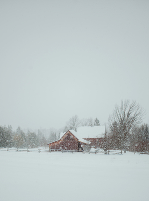 Sous la neige