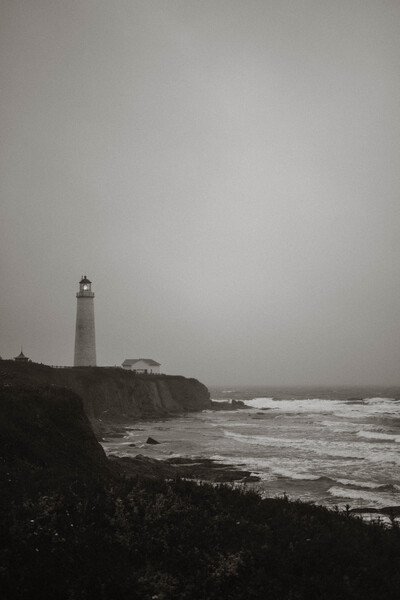 Cap des Rosiers Print