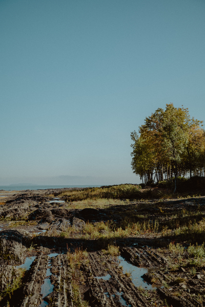 Le bord du fleuve Print