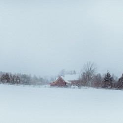 Snowstorm