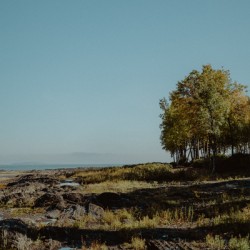 Le bord du fleuve