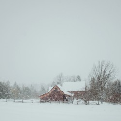 Sous la neige